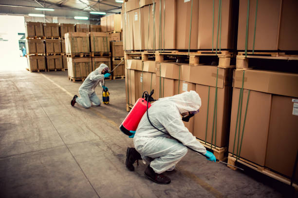 Best Best Pest Control Companies  in Holden Heights, FL
