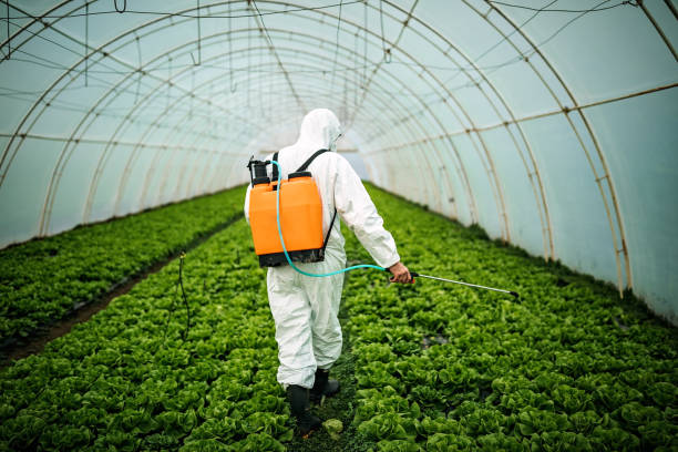 Reliable Holden Heights, FL Pest Control Solutions