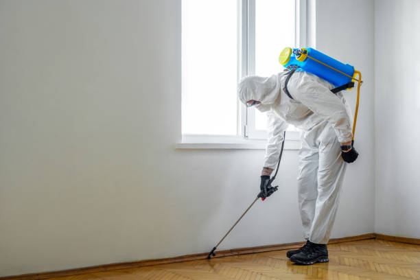 Best Flea Control Services  in Holden Heights, FL