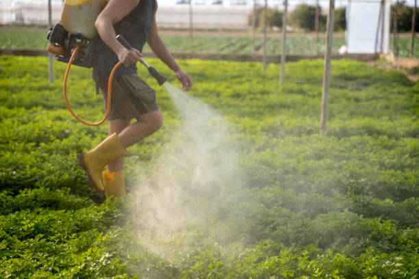 Best Pest Control for Restaurants  in Holden Heights, FL
