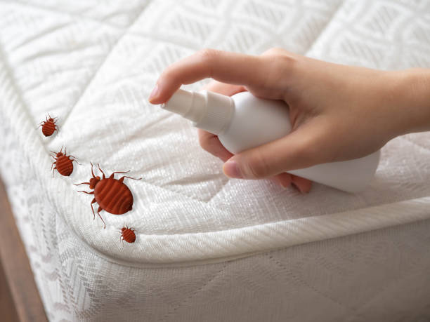 Pest Control for Restaurants in Holden Heights, FL