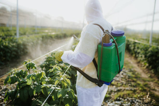 Best Ant Control Services  in Holden Heights, FL